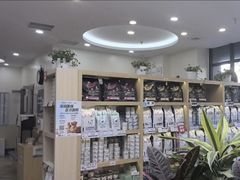 -美联众合动物医院·24h转诊中心