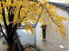 -鼎画艺术机构(贵都店)