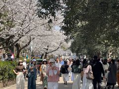 -武汉大学-樱园