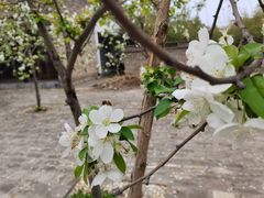 -淇河国家湿地公园