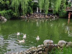 -天毓山庄·餐厅