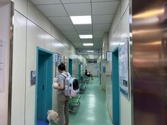 -北京观赏动物医院·24小时大型综合·猫专科·异宠专科