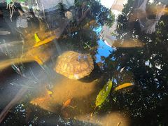 -田园山庄农家乐(石岩店)