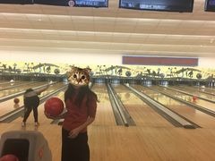 -广州保龄球馆(广州天河体育中心店)