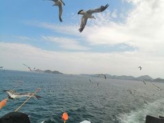 -海驴岛(荣成市)