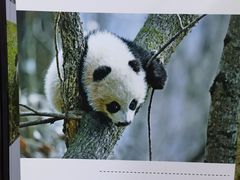 -西安电影制片厂