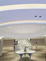 -广州美莱医疗美容医院