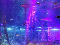 -沈阳海洋探索中心