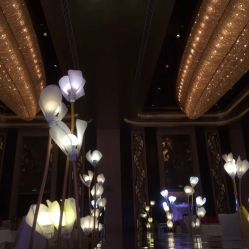 -中谷小南国花园酒店·宴会厅