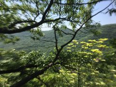 景点-皇藏峪国家森林公园