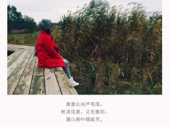 -长兴太湖图影湿地文化园