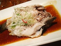 -春满园·早茶·粤菜·宴会(前海店)
