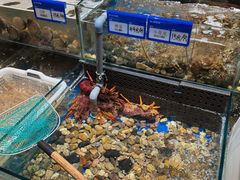 -东宴(温岭店)