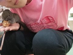 -藦茜花园宠物主题亲子互动体验馆(国顺东路店)