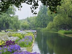 -上海共青森林公园