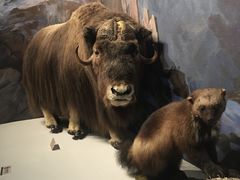 -陕西自然博物馆