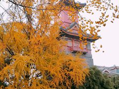 -四川大学(华西校区)