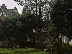 -故乡缘·香格里拉山庄(冷竹路店)