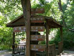 -天女山森林公园