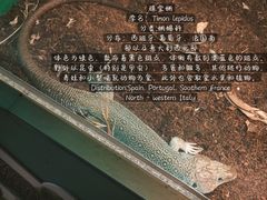 -上海大自然野生昆虫馆(东方明珠·爬宠昆虫探索中心)
