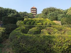 -长安公园