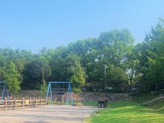 -嬉子湖生态旅游区