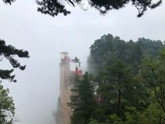 -塔云山