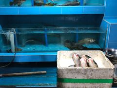 水产区-强记湛江鸡饭店·二十七年老字号(拱北店)