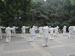 景点-紫竹院公园冰场