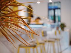 -Fridi Patisserie Cafe