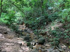-火炉山森林公园