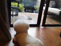 -上海崇明金茂凯悦酒店