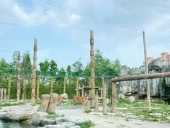 -上海野生动物园