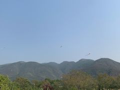 -滨河世纪广场公园