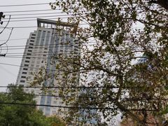 -明瓦廊小区