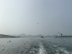 -海驴岛(荣成市)