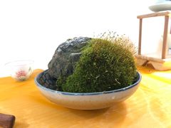 -杭州陶瓷品市场·景青陶瓷有限公司