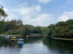 -上海共青森林公园