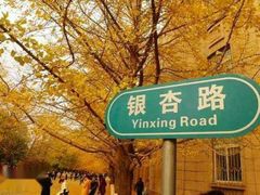 -辽宁大学(崇山校区)