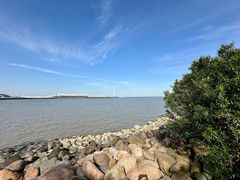 -上海吴淞炮台湾国家湿地公园