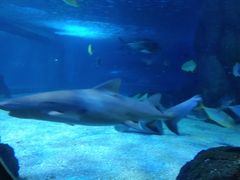 -常州海昌海洋探索馆