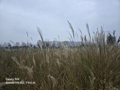 -汉长安城未央宫国家考古遗址公园