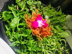 野菜拼盘-龙门养心粥火锅(祥恒广场店)