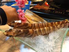 -鲜入围煮花胶鸡海鲜火锅