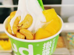 -Salud撒露欧洲冻酸奶(蓝色港湾店)