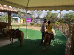 -萌宠亲子动物乐园(槐房万达店)