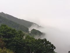 -白草畔自然风景区