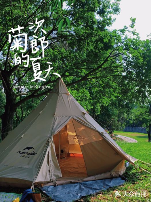松山湖南湖湾露营营地图片