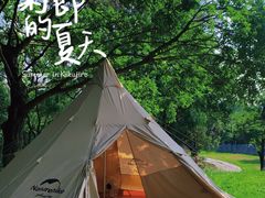 -松山湖南湖湾露营营地