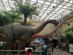 -国家自然博物馆